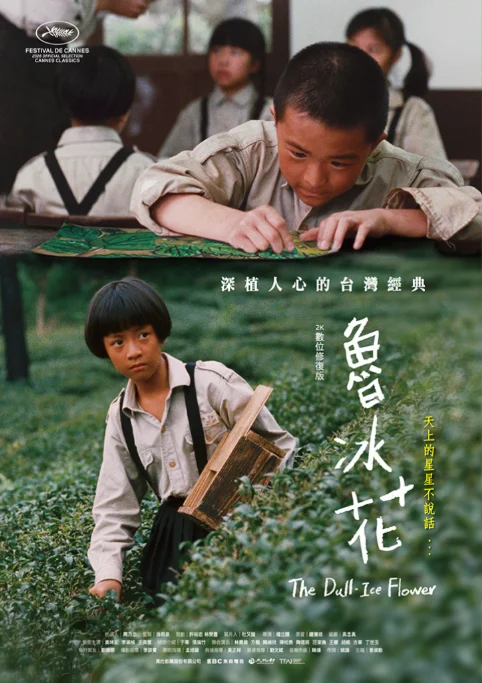 坎城版海報
